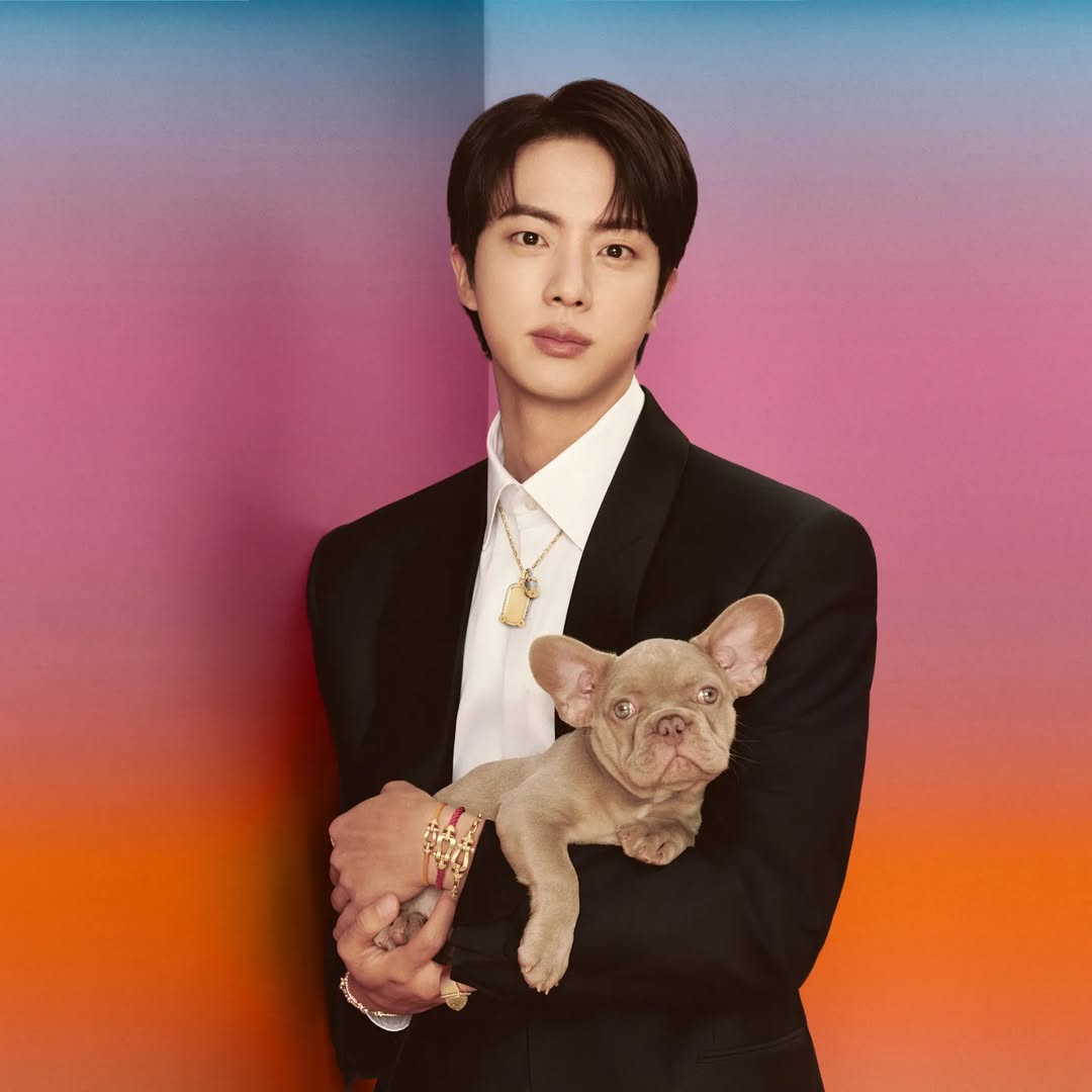 Jin of BTS (김석진)